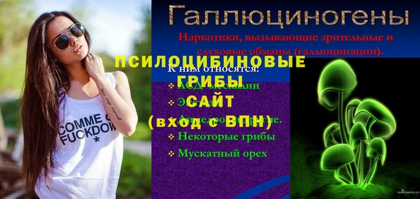 ГАЛЛЮЦИНОГЕННЫЕ ГРИБЫ Нязепетровск